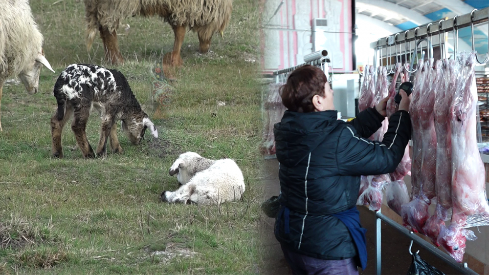 Mieii pentru masa de Paști se vând ca pâinea caldă. Care este prețul